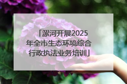 漯河开展2025年全市生态环境综合行政执法业务培训